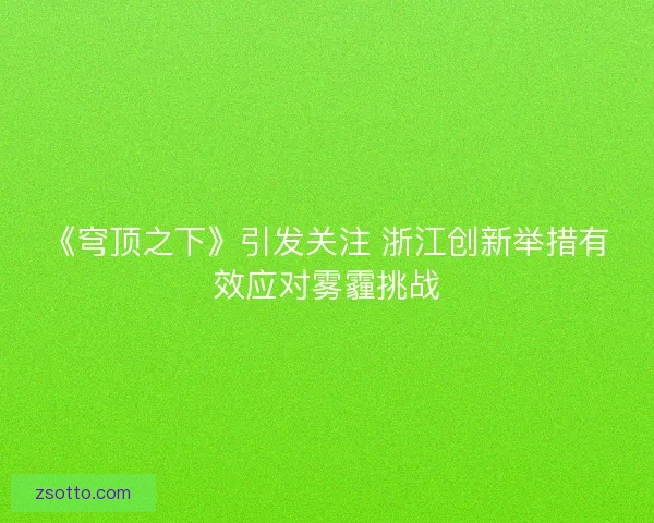 《穹顶之下》引发关注 浙江创新举措有效应对雾霾挑战